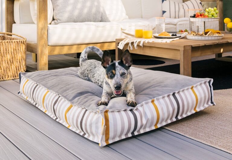 How to Make a Pet Bed and DIY Ideas